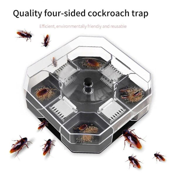 Cockroach Traps Box